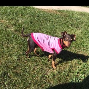 Meet your Posher, Bing